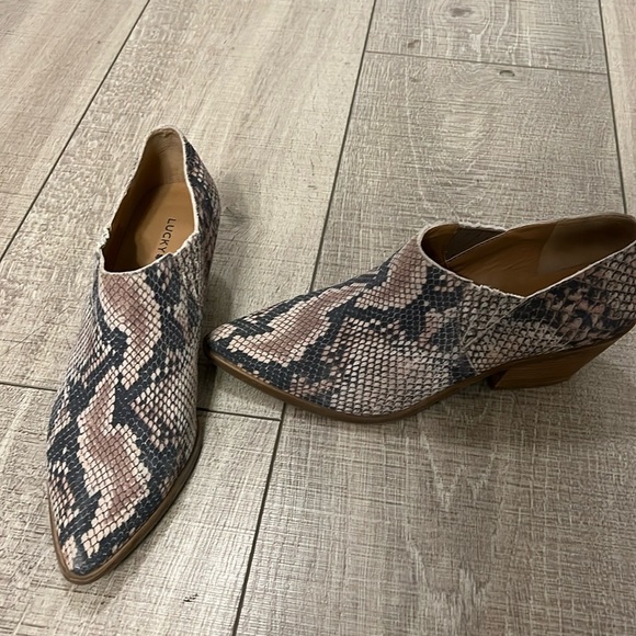 Lucky brand snake skin booties! BRAND new, worn only one time. - Picture 1 of 3